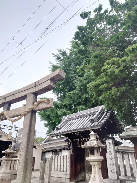 画像808