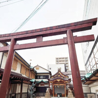 画像838