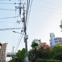 画像842