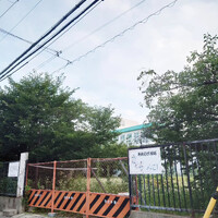 画像868