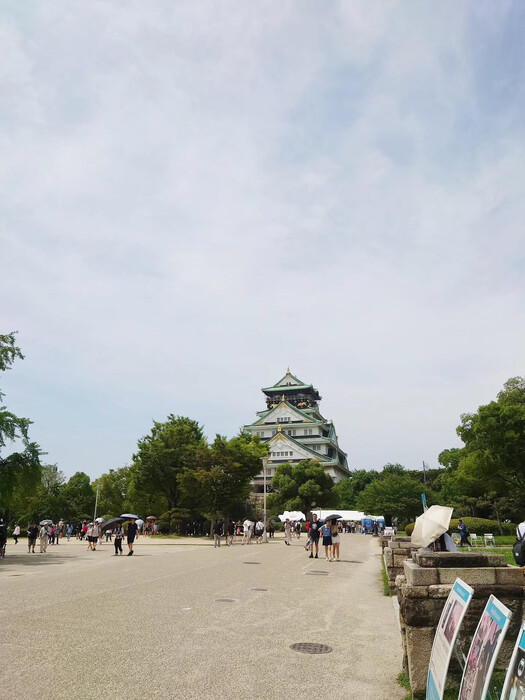 画像872