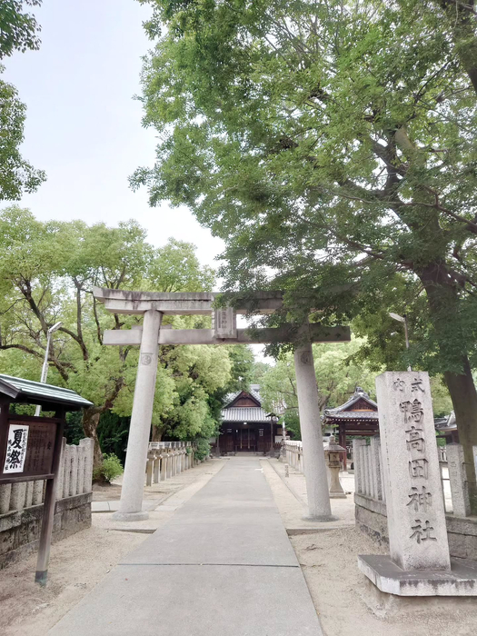 画像908