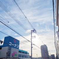 画像978