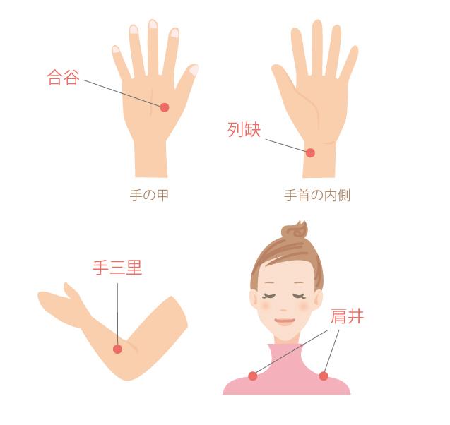ダウンロード