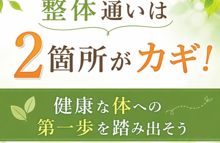 整体は2箇所通う方が良い？メリットとデメリットを姿勢のプロが東大阪から解説！｜姿勢矯正院スタイルケア